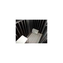 アムール 柳川のサムネイル