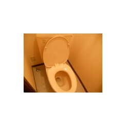 アムール 柳川のサムネイル