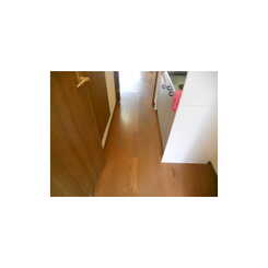 アムール 柳川のサムネイル