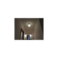 アムール 柳川のサムネイル