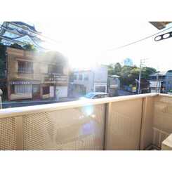 アムール アザレのサムネイル