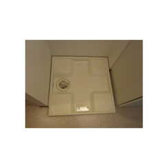 アムール 山茶花のサムネイル