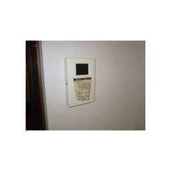 アムール 山茶花のサムネイル