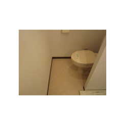 アムール 山茶花のサムネイル