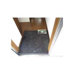 アムール 山茶花のサムネイル