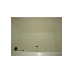 アムール 山茶花のサムネイル