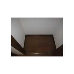 アムール 山茶花のサムネイル