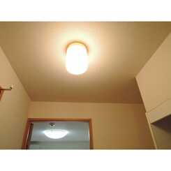 アムール 河辺のサムネイル