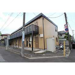 アムール ハルディーン ディ パライソのサムネイル