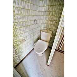 アムール MoMoのサムネイル