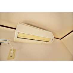 アムール MoMoのサムネイル