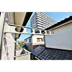 アムール MoMoのサムネイル