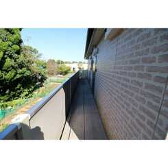 アムール MoMoのサムネイル