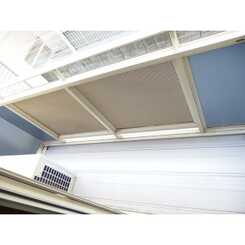 アムール 領家のサムネイル