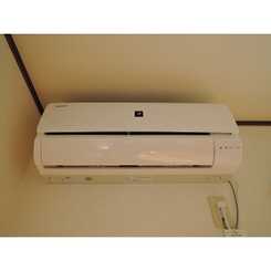 アムール 領家のサムネイル