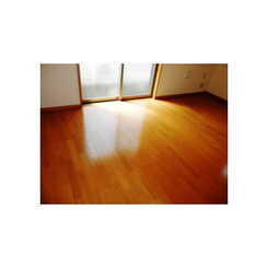 アムール Cerisierのサムネイル