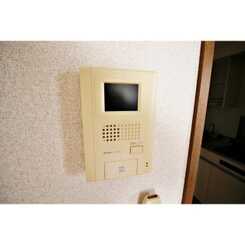 アムール Petitのサムネイル