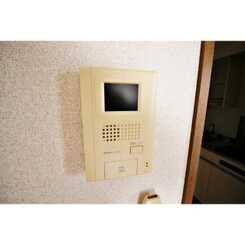 アムール Petitのサムネイル