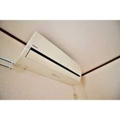 アムール Petitのサムネイル