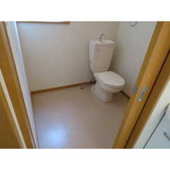 アムール リベラのサムネイル