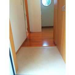 アムール リベラのサムネイル