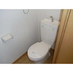 アムール 花水木のサムネイル