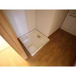 アムール 花水木のサムネイル