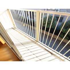 アムール 花水木のサムネイル