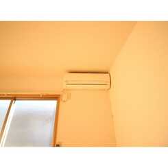 アムール 花水木のサムネイル