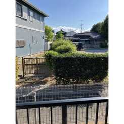 アムール Miyashiroのサムネイル
