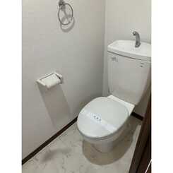 アムール ピジョンのサムネイル