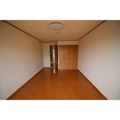 アムール L.Aのサムネイル