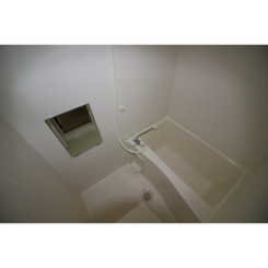 アムール L.Aのサムネイル