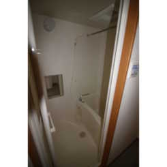 アムール L.Aのサムネイル