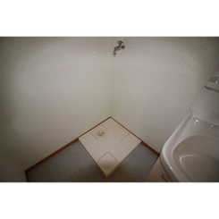 アムール L.Aのサムネイル