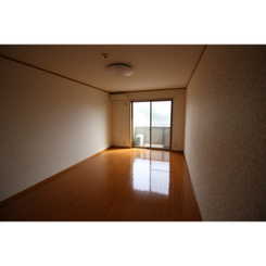 アムール L.Aのサムネイル