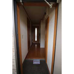 アムール L.Aのサムネイル