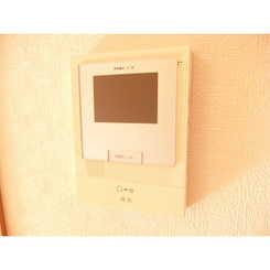 アムール Dillonのサムネイル