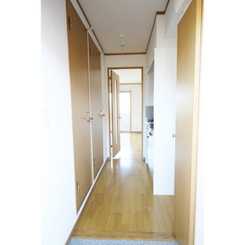 アムール コスモのサムネイル