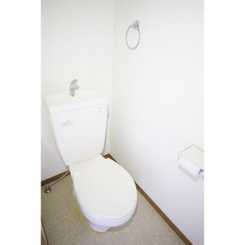 アムール コスモのサムネイル