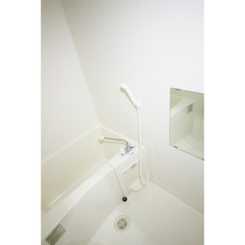 アムール コスモのサムネイル