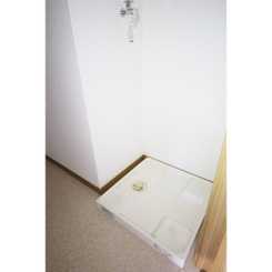 アムール コスモのサムネイル