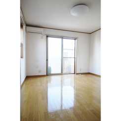 アムール コスモのサムネイル