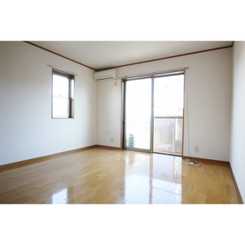 アムール コスモのサムネイル