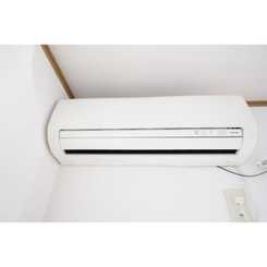 アムール コスモのサムネイル