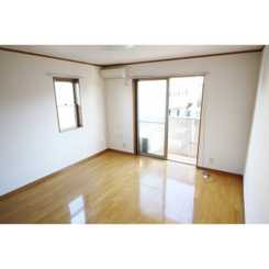 アムール コスモのサムネイル