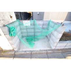 アムール コスモのサムネイル