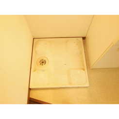 アムール エタンのサムネイル