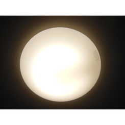 アムール エタンのサムネイル