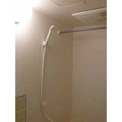 アムール エビスのサムネイル